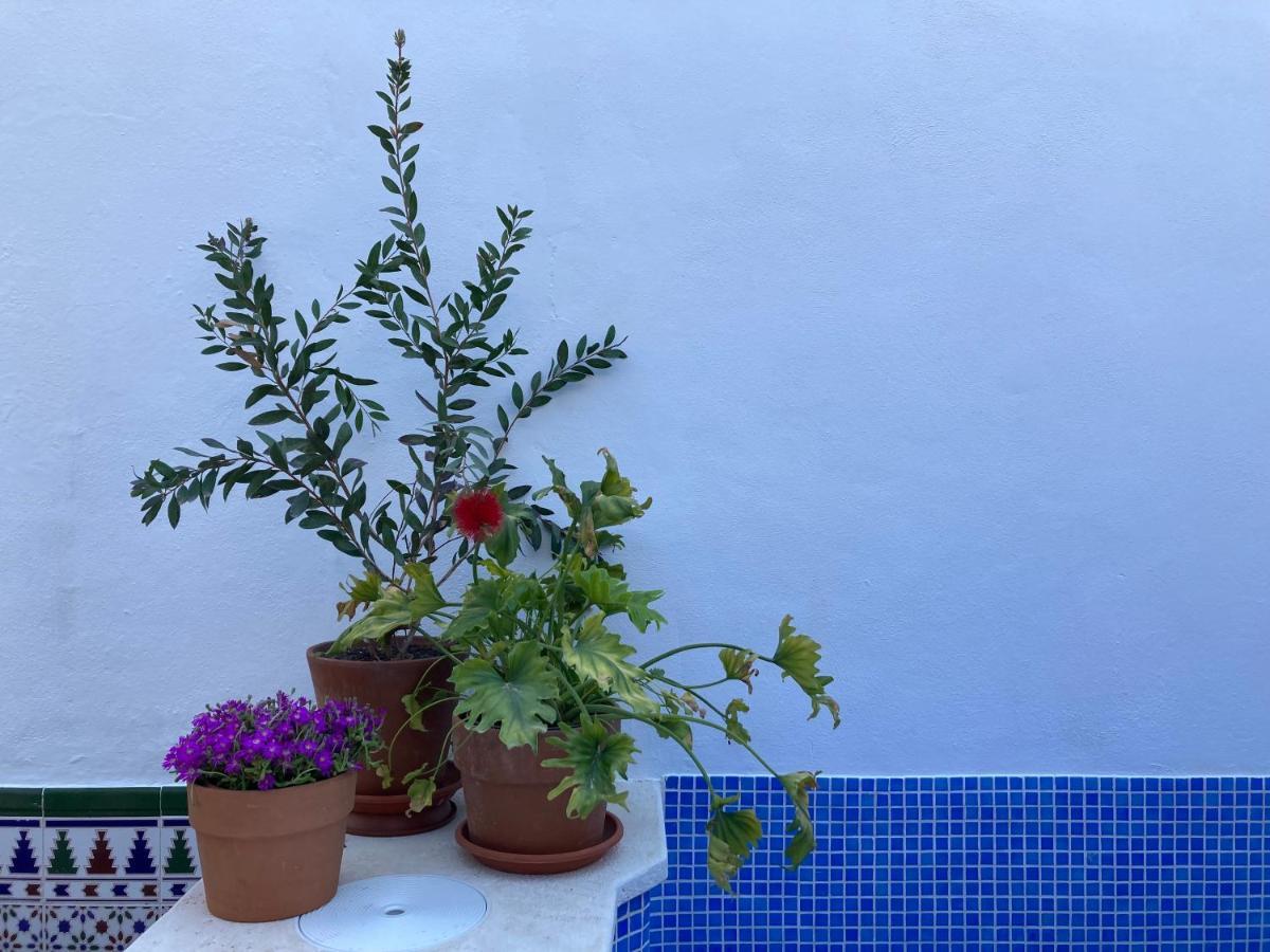Apartmán Casa Clemente 32, Private House With Plunge Pool Màlaga Exteriér fotografie