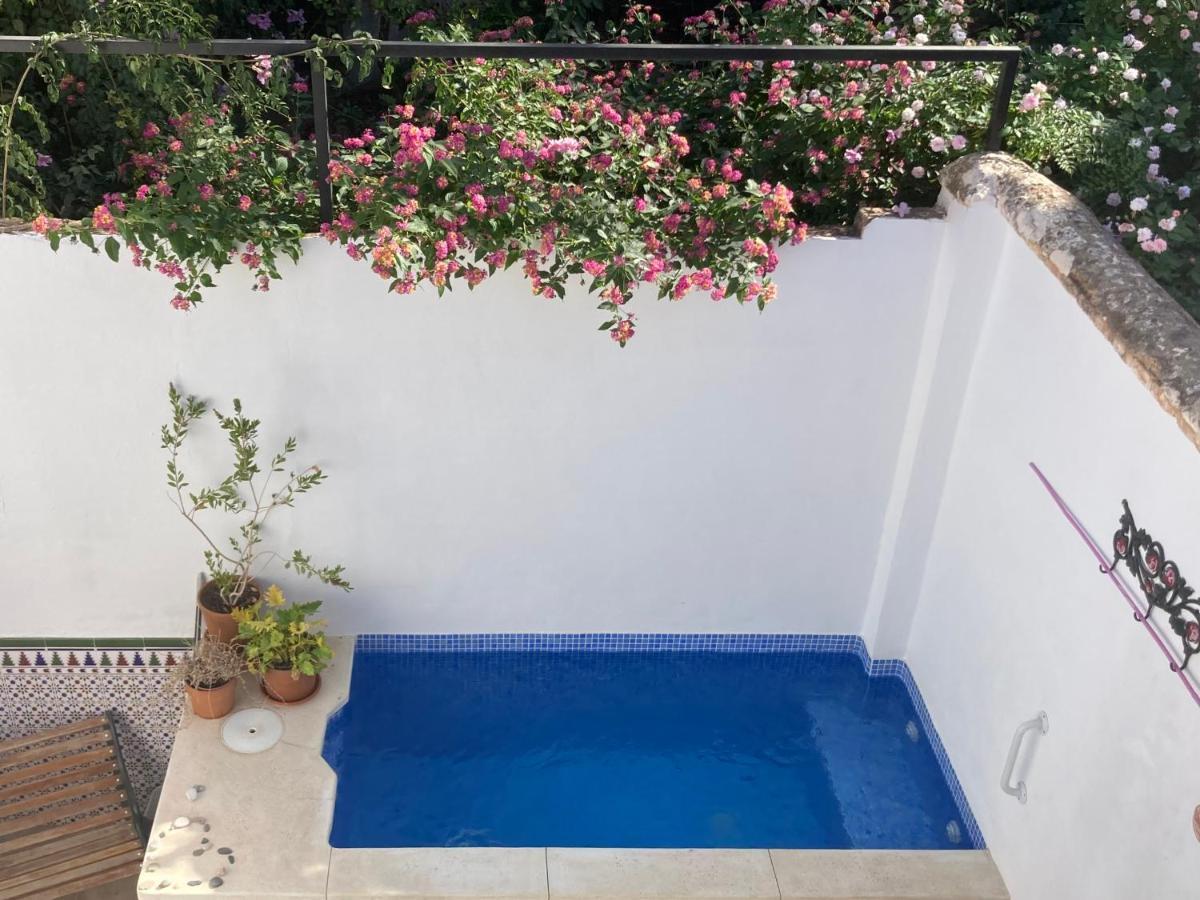 Apartmán Casa Clemente 32, Private House With Plunge Pool Màlaga Exteriér fotografie