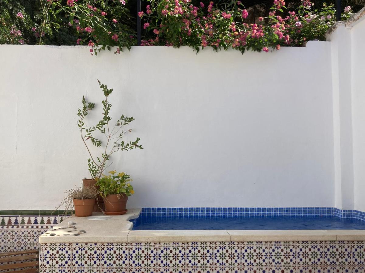 Apartmán Casa Clemente 32, Private House With Plunge Pool Màlaga Exteriér fotografie